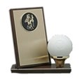 ball awards