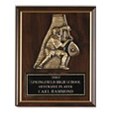 large plaques