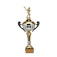 large trophies